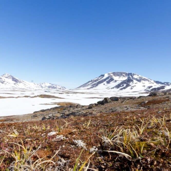 groenland passe vert fonte glace inexorable futur