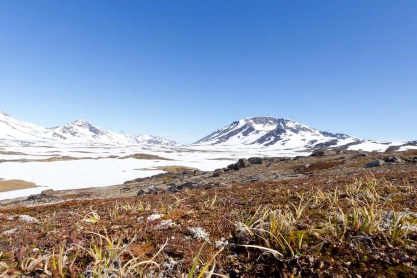 groenland passe vert fonte glace inexorable futur