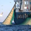 homme predateur hors normes biodiversite en danger couv