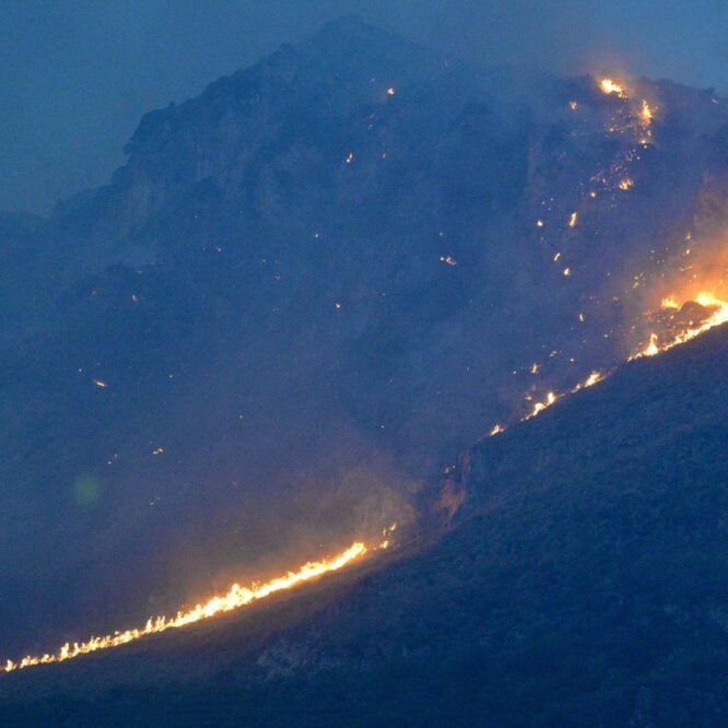 juillet ete le plus chaud monde jamais enregistre couv