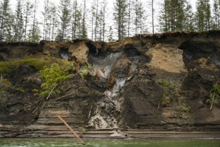 nouvelle espece nematode permafrost 46000 ans couv