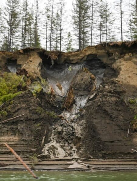 nouvelle espece nematode permafrost 46000 ans couv