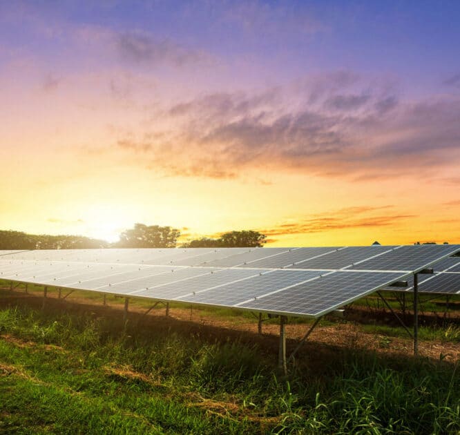 panneaux solaire photvoltaique double face perovskite couv