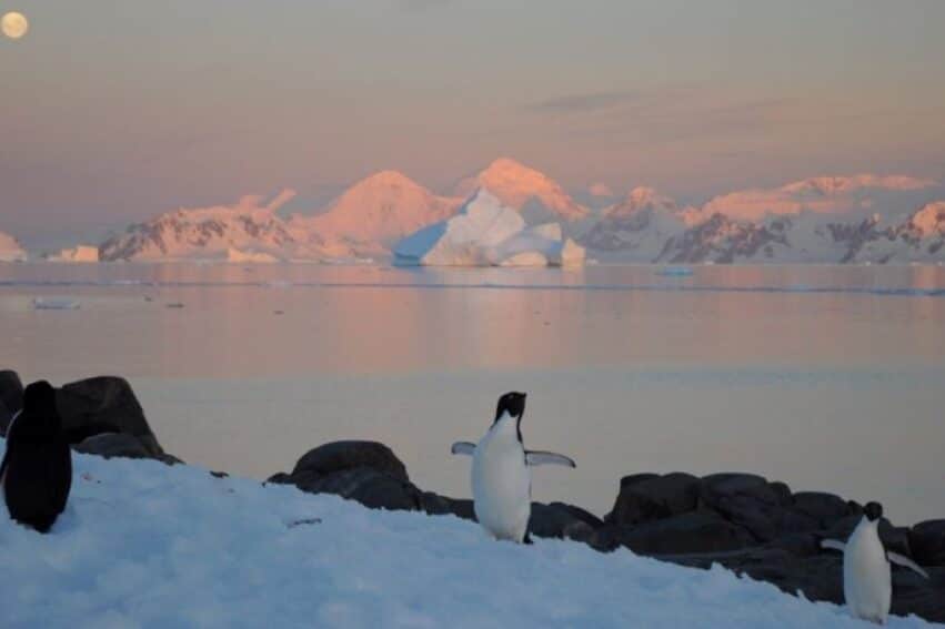 antarctique record temperature glace rechauffement climatique couv