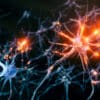 Neuron system disease