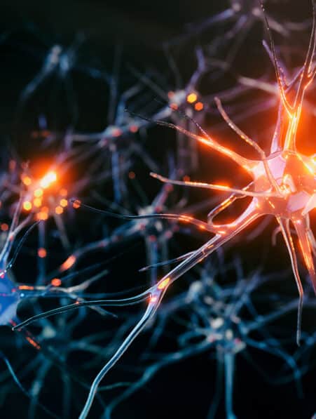Neuron system disease