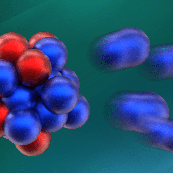 decouverte nouveau isotope oxygene 28 couv