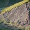 empreintes dinosaures qualite colisee alaska cretace superieur couv