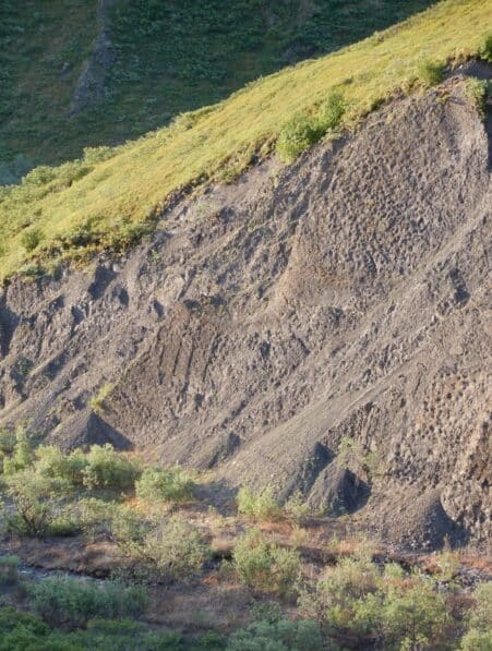 empreintes dinosaures qualite colisee alaska cretace superieur couv