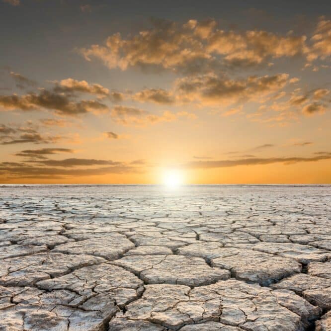 juillet mois plus chaud depuis 1880 urgence couv