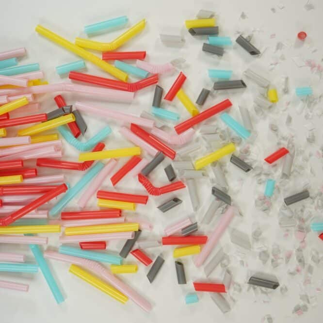 microplastiques comportementaux cerveau