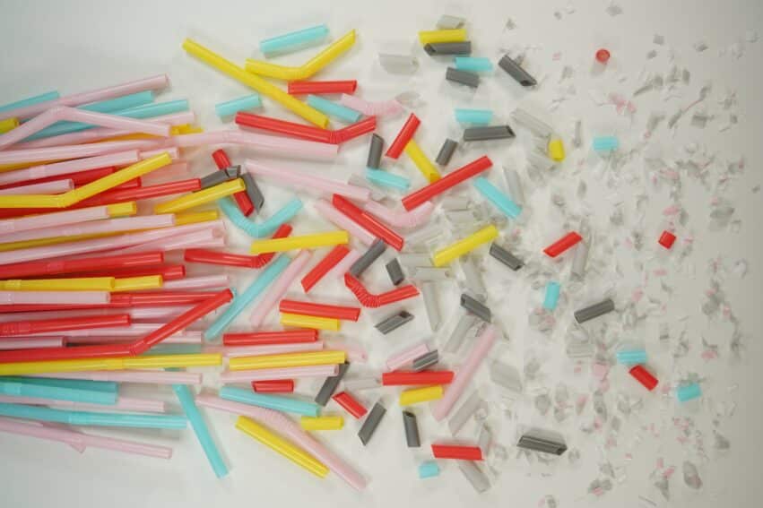 microplastiques comportementaux cerveau
