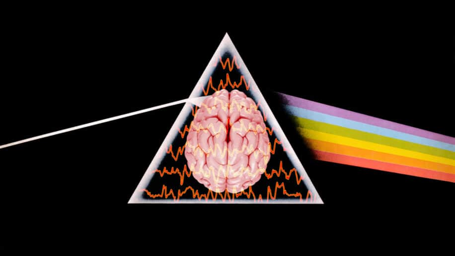 ondes cerebrales recreer chanson ia pink floyd couv