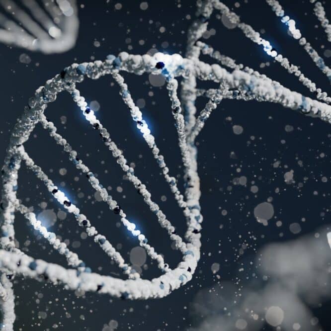 scientifiques creent base donnees dediee genes meconnus couv
