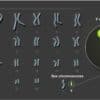 sequencage chromosome y humain entier couv