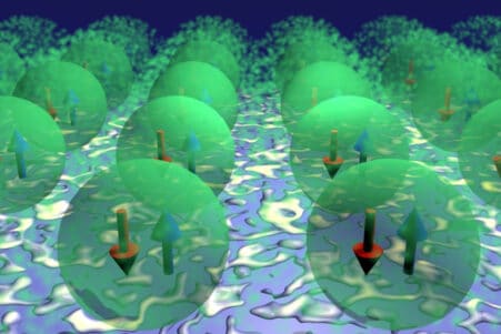 triplons aimant quantique