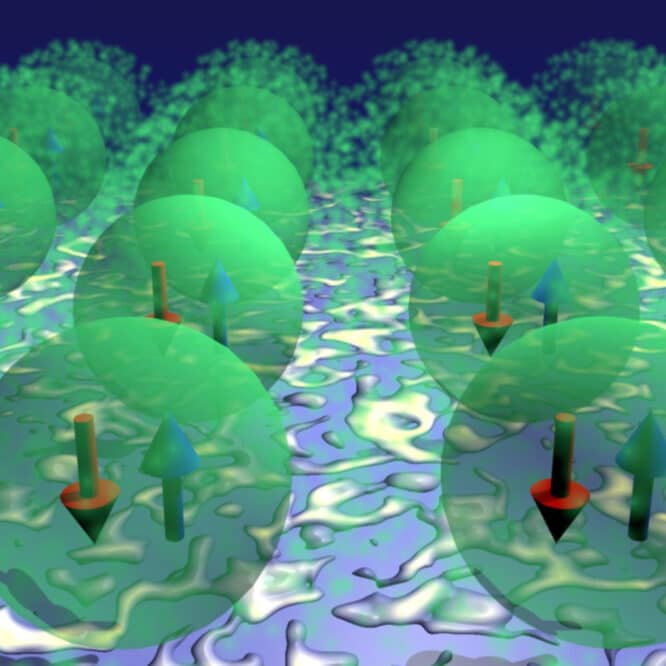 triplons aimant quantique