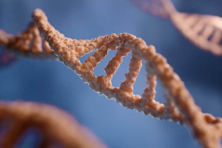 vih gene protecteur africaine