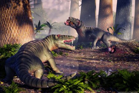 265 million annees fossile plus grand predateur amerique sud couv