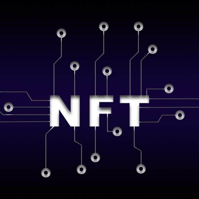 95 nft ont perdu leur valeur