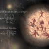 goulot etrangement extinction ancetres homme couv