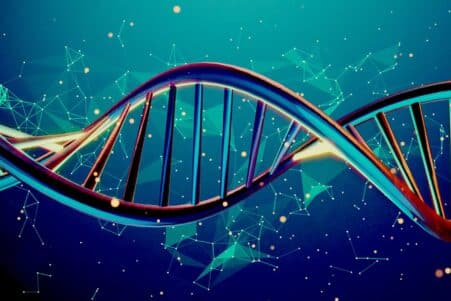 mathematiques pures biologie evolutive couv