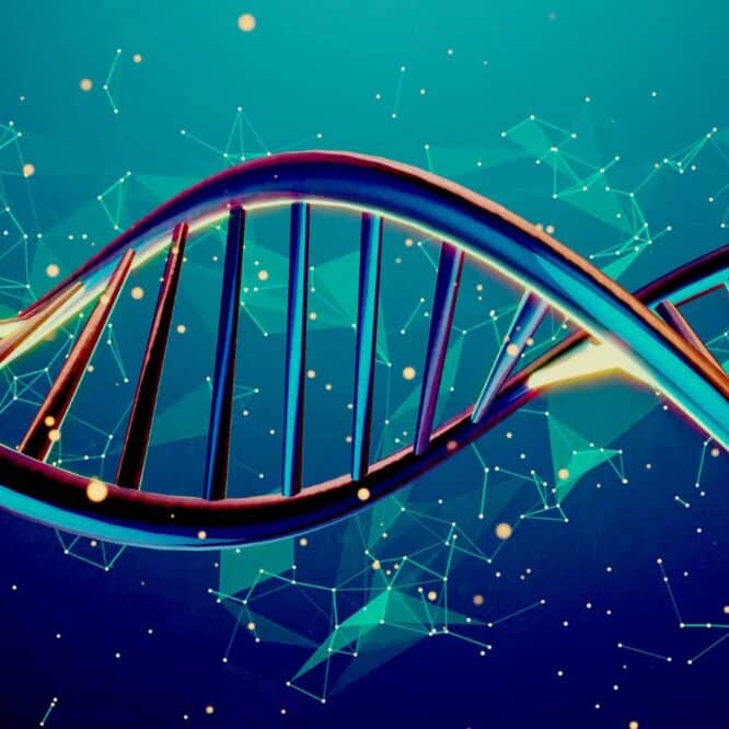 mathematiques pures biologie evolutive couv
