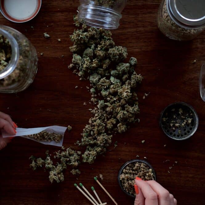 metaux lourds cannabis