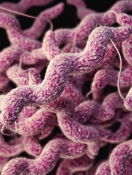 microbes intestinaux alzheimer