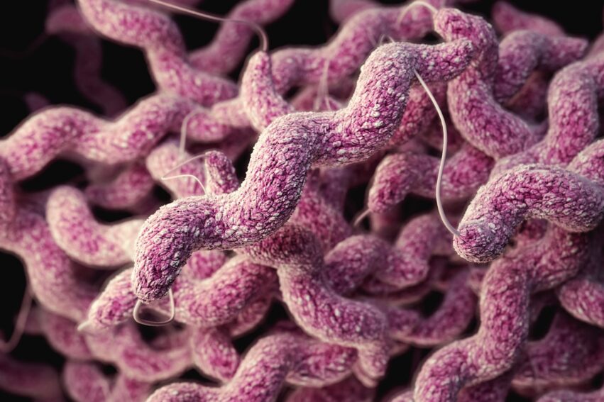 microbes intestinaux alzheimer