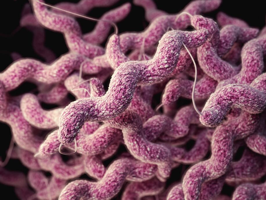 microbes intestinaux alzheimer