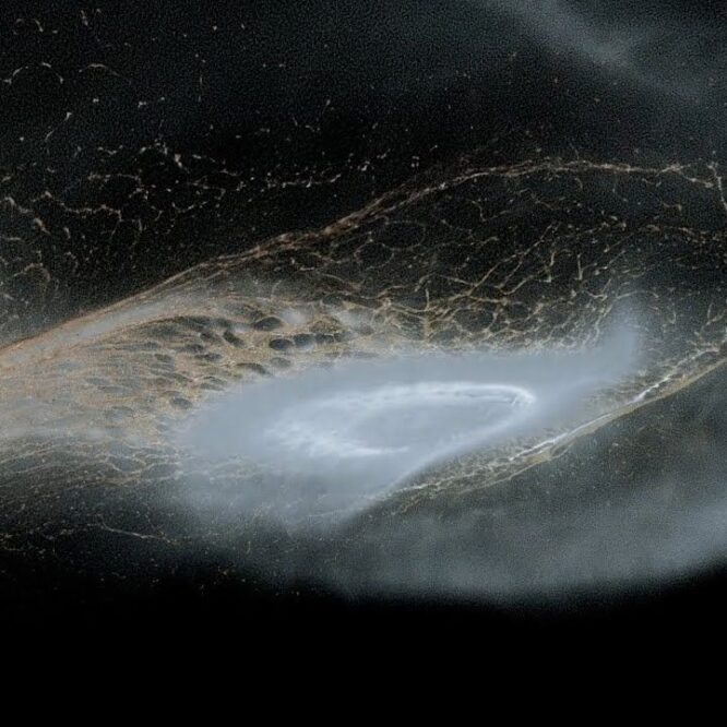 naissance anneaux saturne collision entre lunes couv