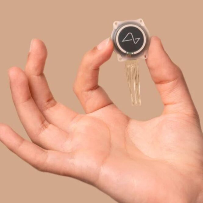 neuralink recrute desormais humains tester produits couv