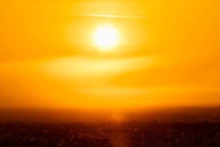 prochain supercontinent 250 millions annees extinction mammiferes couv