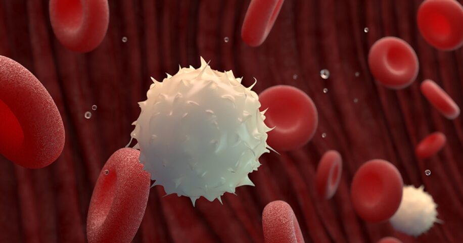 vaccin inverse maladie auto immune traitement couv