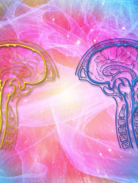 conscience entropique cerveau