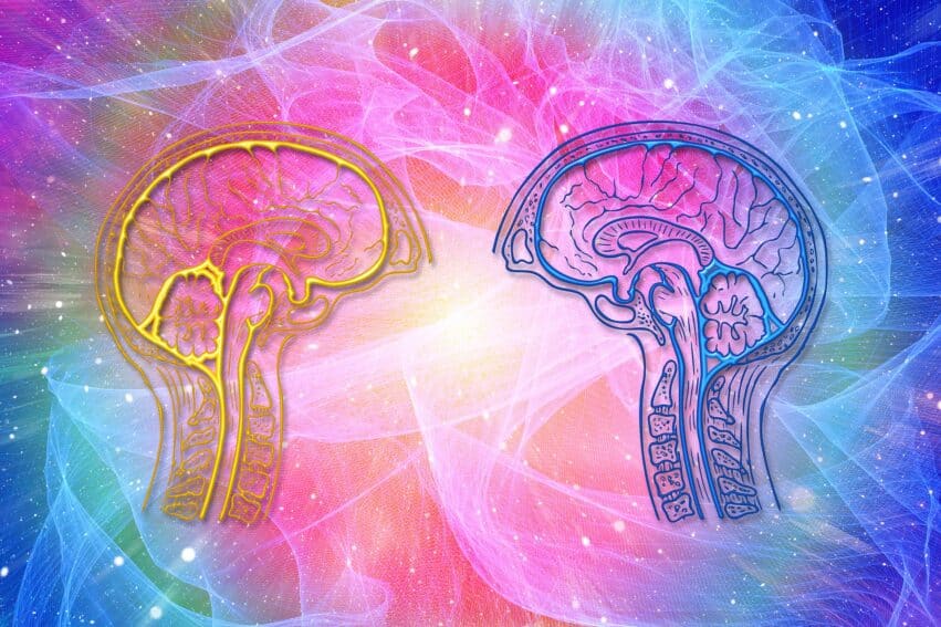 conscience entropique cerveau