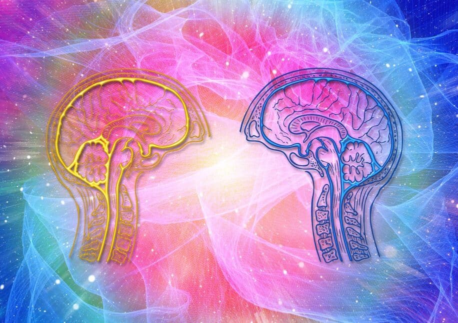 conscience entropique cerveau
