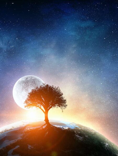 nouvelle theorie nature evolution darwin univers couv