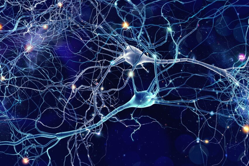 regeneration fibres nerveuses nanomateriaux magnetoelectrique couv