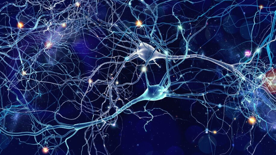 regeneration fibres nerveuses nanomateriaux magnetoelectrique couv