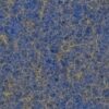 simulation cosmologique la plus grande big bang aujourdhui couv