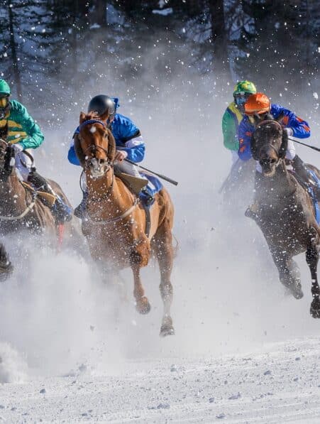 chevaux course savent