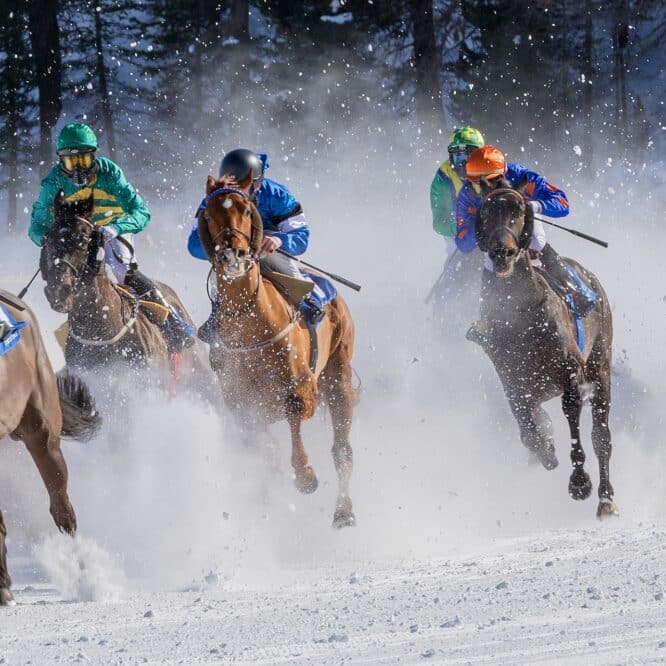 chevaux course savent