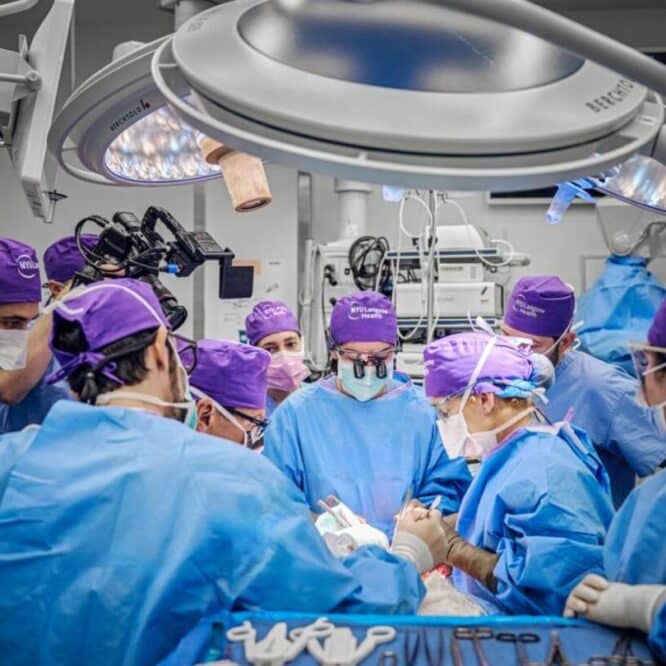 transplantation oculaire complete