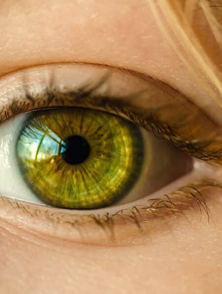 intelligence artificielle diagnostic austisme precocoe retine couv