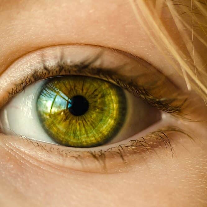 intelligence artificielle diagnostic austisme precocoe retine couv