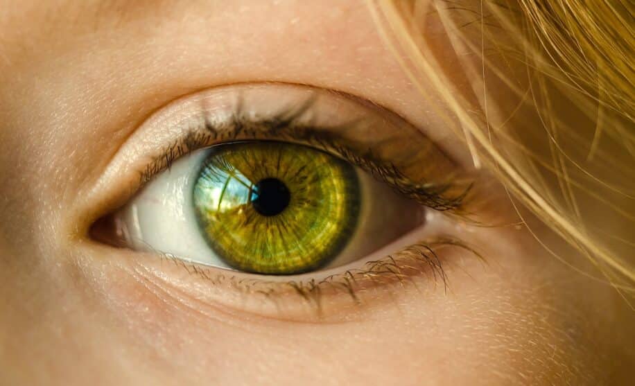 intelligence artificielle diagnostic austisme precocoe retine couv