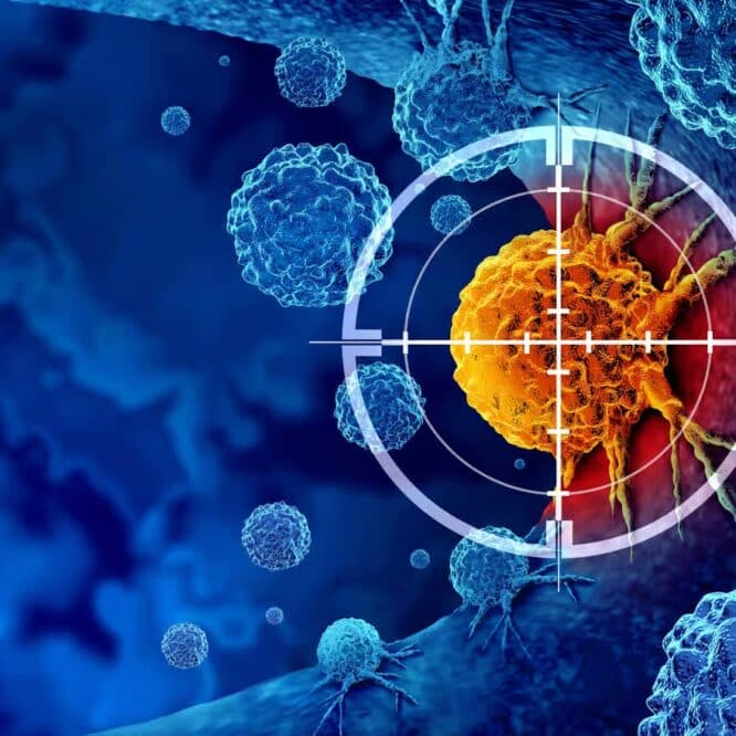 marteaux piqueurs elimine cancereuses