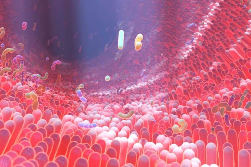 microbiote trouble anxiete sociale